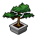 Bonsai-Baum