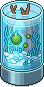 Marimo Aquarium