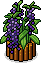Harmoniegartenpflanze