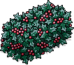 Gefrorener Weihnachtsbusch