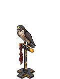 HC-Falke