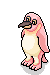 Albino-Pinguin