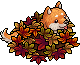 Herbstlicher Shiba Inu