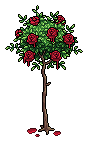 Bemalter Roter Rosen-Busch