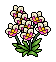 Orchideen-Pflanze