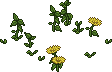 Gartenunkraut