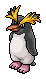 Felsen-Pinguin