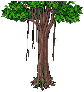 Indischer Feigenbaum