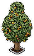 Birnenbaum