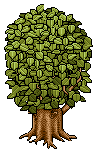 Baum des Lebens