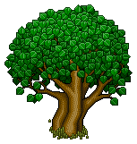 Baum der Freundschaft