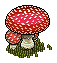 Fliegenpilz