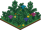 Blumenwiese