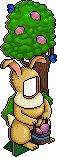 Kleiner Hase Hoppel