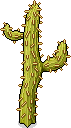 Stacheliger Kaktus