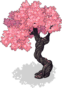 Sakura Baum