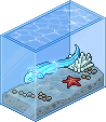 Zitteraal Aquarium
