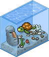 Schildkröten Aquarium