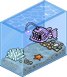 Anglerfisch Aquarium