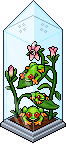 Laubfrosch