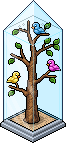 Exotische Vögel