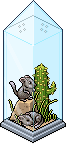 Chinchilla