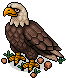 Adler