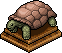 Beigefarbene Schildkröte