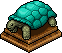 Türkisfarbene Schildkröte