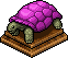 Lilafarbene Schildkröte